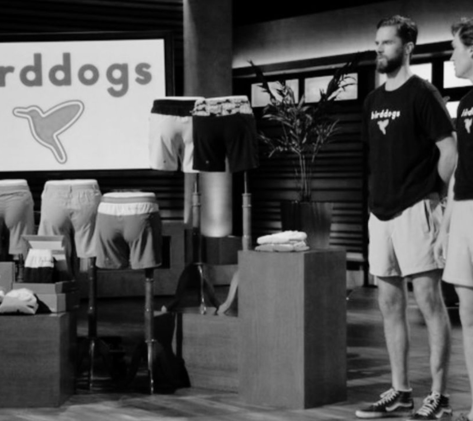 Is Birddogs Going Out of Business