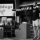 Is Birddogs Going Out of Business